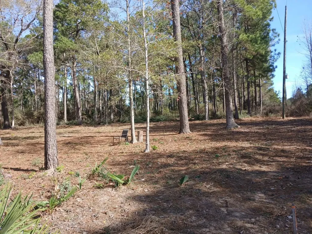 Tbd Yupon Lane Plantersville TX 77363