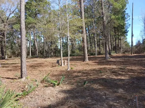 Tbd Yupon Lane Plantersville TX 77363