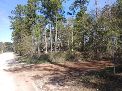 Tbd Yupon Lane Plantersville TX 77363