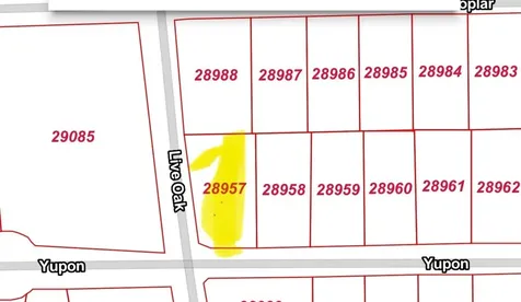 Tbd Yupon Lane Plantersville TX 77363