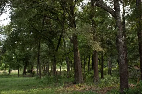 1202 County Road 2255 Grapeland TX 75844