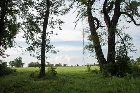 1202 County Road 2255 Grapeland TX 75844