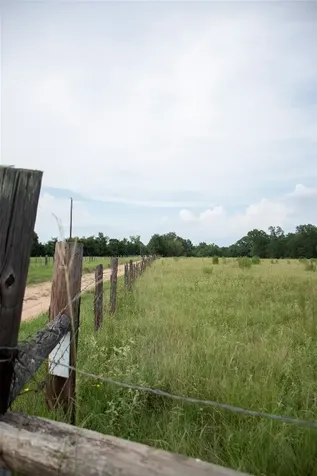 1202 County Road 2255 Grapeland TX 75844