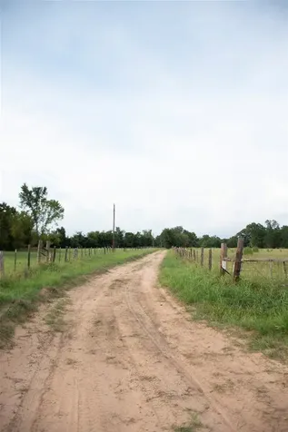 1202 County Road 2255 Grapeland TX 75844