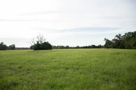 1202 County Road 2255 Grapeland TX 75844