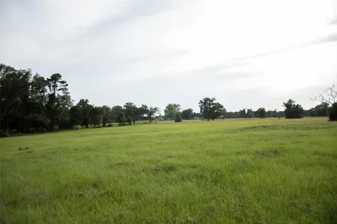 1202 County Road 2255 Grapeland TX 75844