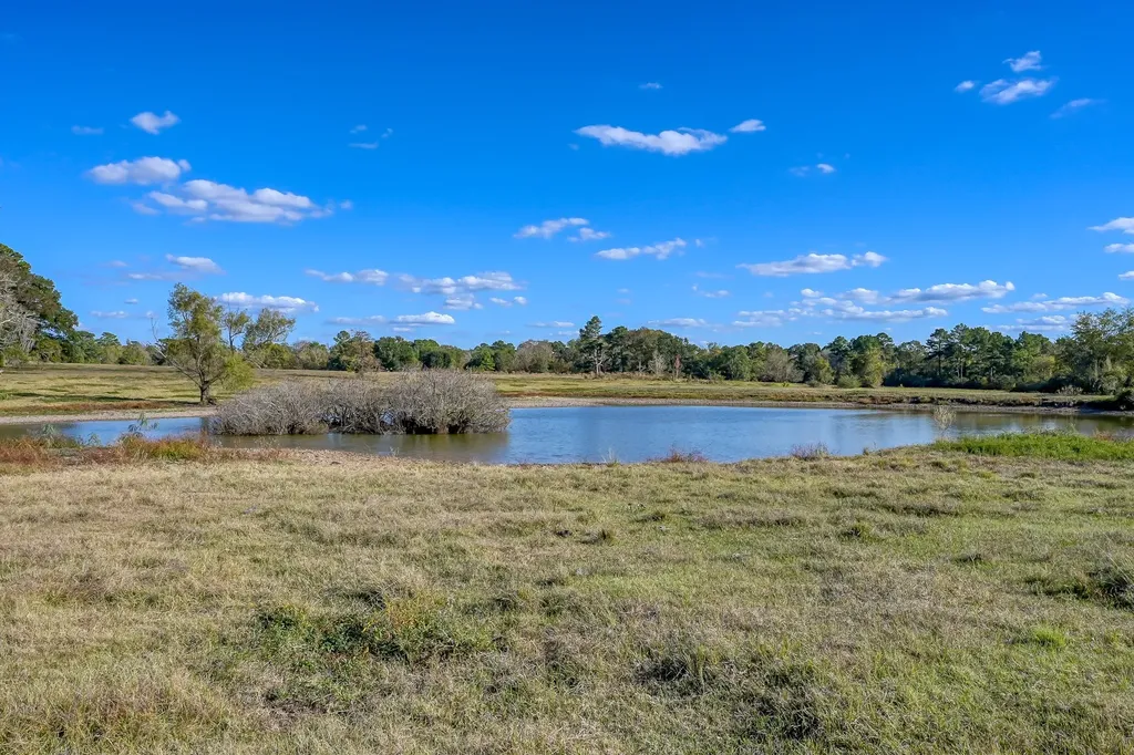 75 Acres Spring Branch Road Montgomery TX 77316