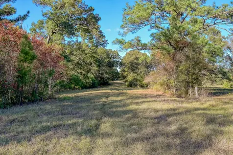75 Acres Spring Branch Road Montgomery TX 77316
