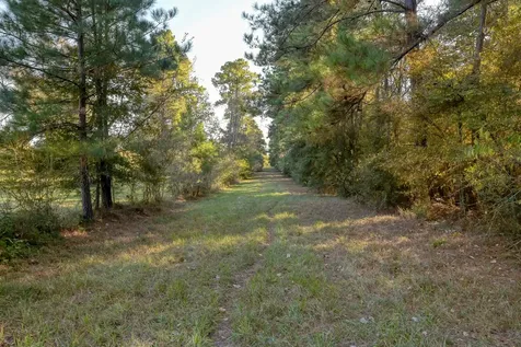 75 Acres Spring Branch Road Montgomery TX 77316