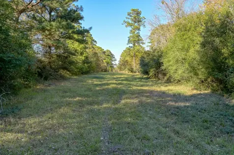 75 Acres Spring Branch Road Montgomery TX 77316