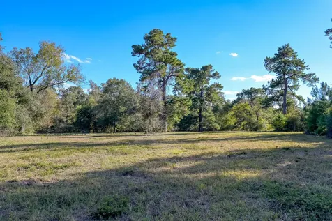 75 Acres Spring Branch Road Montgomery TX 77316