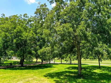 00 Texasgulf Avenue Boling TX 77420