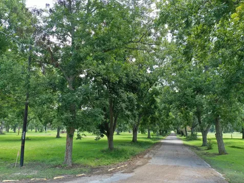 00 Texasgulf Avenue Boling TX 77420
