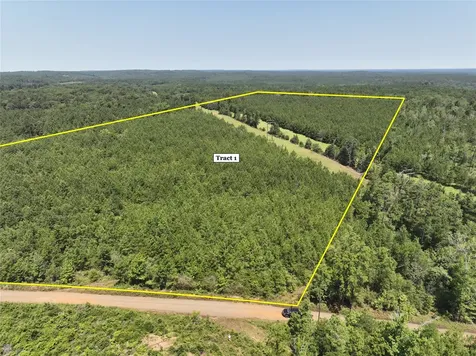 2 Carters Ferry Road Milam TX 75959