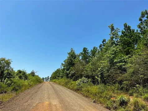 2 Carters Ferry Road Milam TX 75959