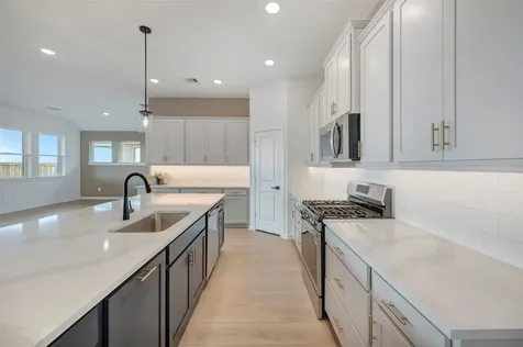 16303 Blue Mistflower Lane Hockley TX 77447