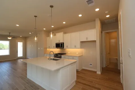 27214 Scarlet Paint Brush Drive Hockley TX 77447