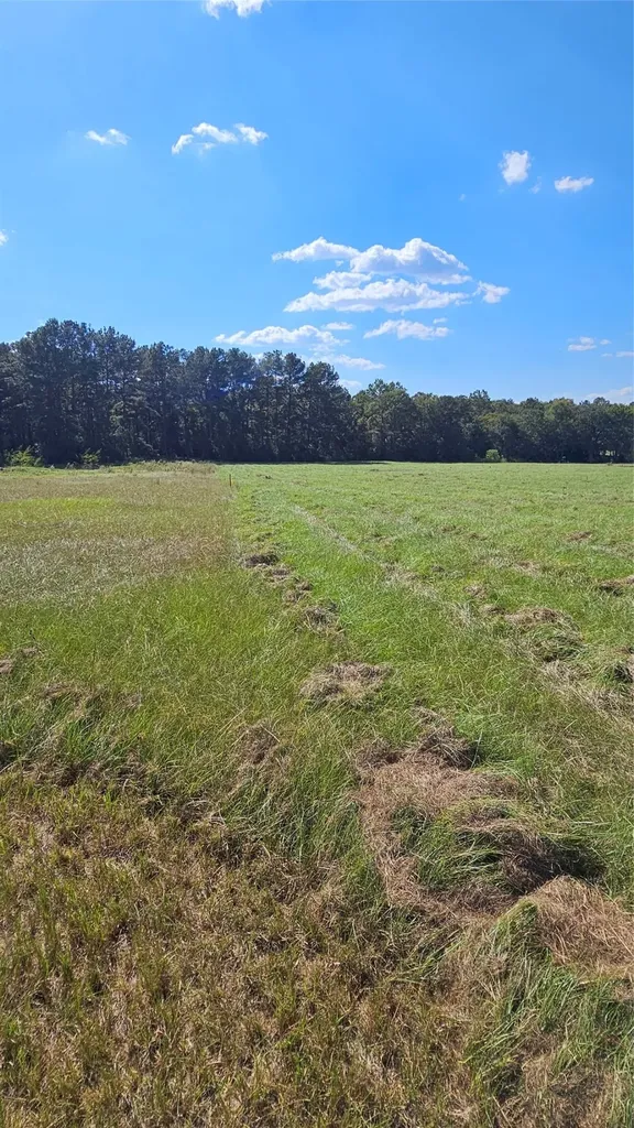 Tbd Hawthorne Road N New Waverly TX 77358