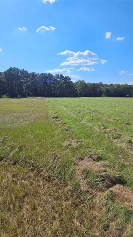 Tbd Hawthorne Road N New Waverly TX 77358