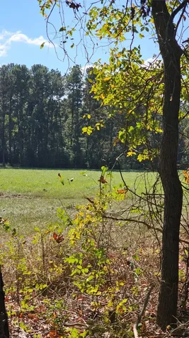 Tbd Hawthorne Road N New Waverly TX 77358