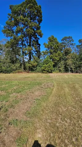 Tbd Hawthorne Road N New Waverly TX 77358