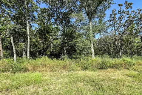 10 Acres Lot 81 Woodland Hills Ranch Centerville TX 75833