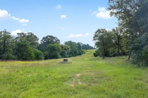 8980 Fm 1511 Oakwood TX 75855