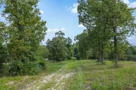 8980 Fm 1511 Oakwood TX 75855