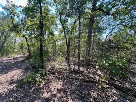 531 Moss Oak Drive Somerville TX 77879