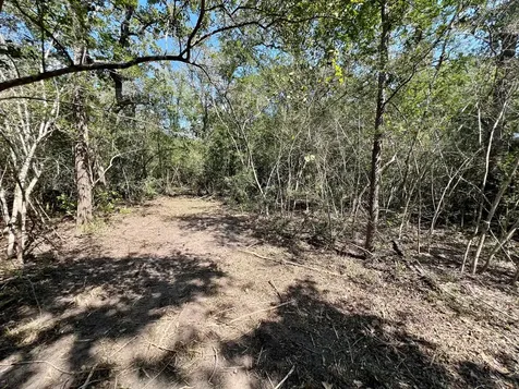531 Moss Oak Drive Somerville TX 77879