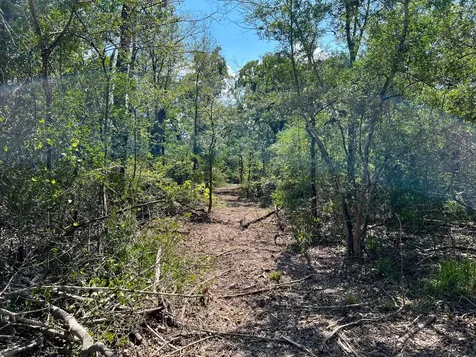 531 Moss Oak Drive Somerville TX 77879