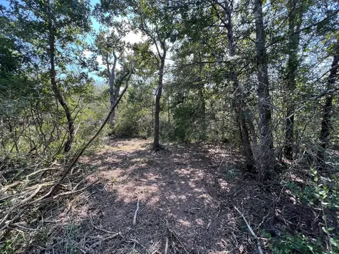 531 Moss Oak Drive Somerville TX 77879