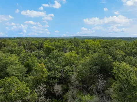 531 Moss Oak Drive Somerville TX 77879