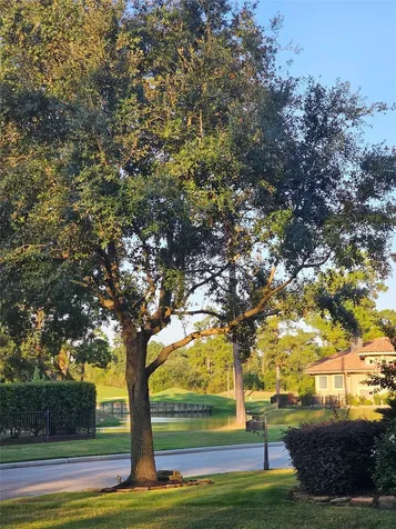 16019 Bridges Fairway Lane Houston TX 77068