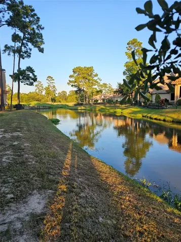 16019 Bridges Fairway Lane Houston TX 77068