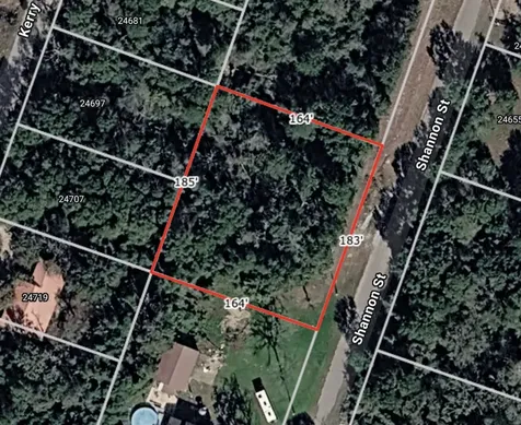 Lot 35 Shannon Street Hempstead TX 77445