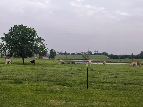 1100 Swiss Alp Hills Loop Schulenburg TX 78956
