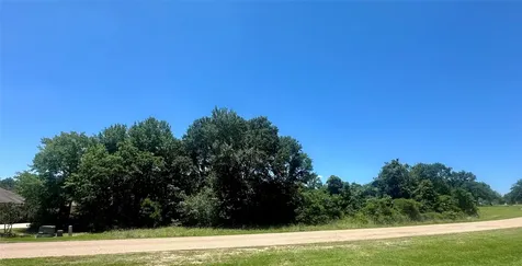 Lot 16 King Oaks Drive Iola TX 77861