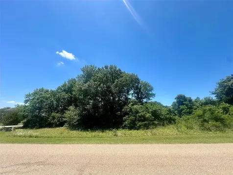 Lot 16 King Oaks Drive Iola TX 77861