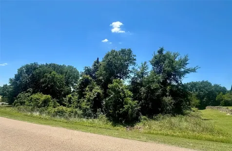 Lot 16 King Oaks Drive Iola TX 77861