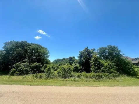 Lot 16 King Oaks Drive Iola TX 77861