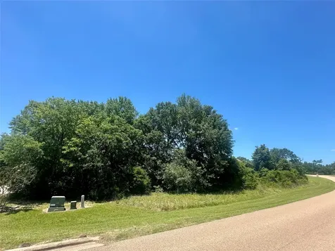 Lot 16 King Oaks Drive Iola TX 77861