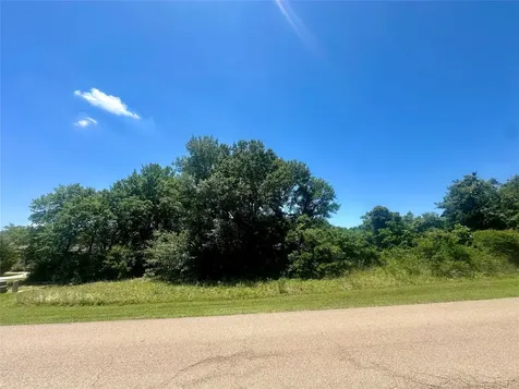 Lot 16 King Oaks Drive Iola TX 77861
