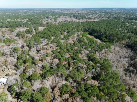 0 Tr 9 Dunnam Road Kingwood TX 77345