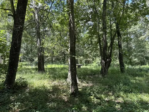 87 Townley Ranch Road Huntsville TX 77320
