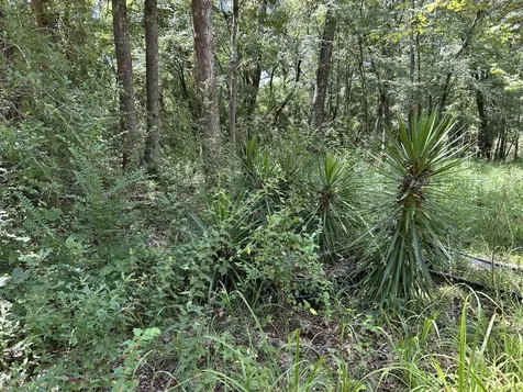 87 Townley Ranch Road Huntsville TX 77320