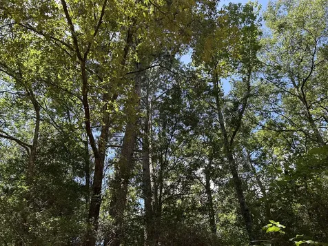 87 Townley Ranch Road Huntsville TX 77320