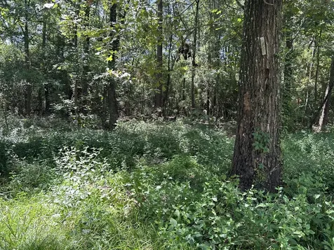 87 Townley Ranch Road Huntsville TX 77320