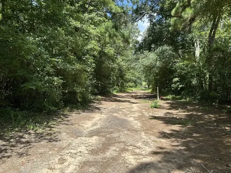 87 Townley Ranch Road Huntsville TX 77320