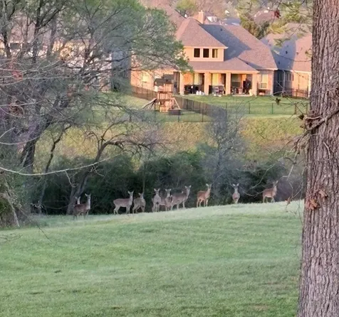19178 Grandview Point Montgomery TX 77356